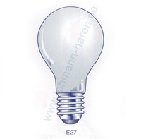 GLS lamp E27 24V 100W frosted